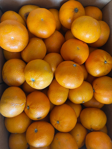 Mandrain $4.00 per kg