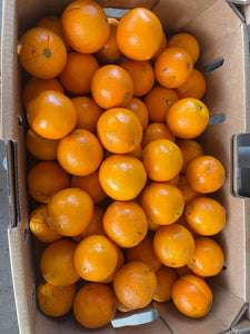 Navel orange 10 kg box