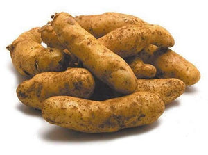 Gourmet Kipfler Potato 10kg