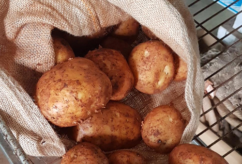 Brushed Potato 20kg Sack